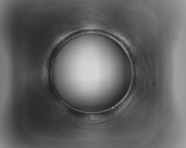 X0000102531311200808151546