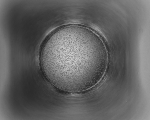 X0000102531312200808151546