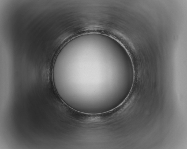 X0000102531313200808151546