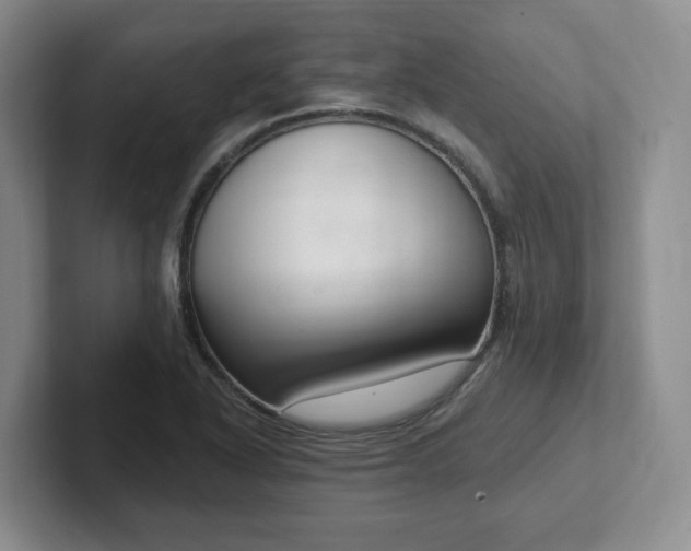 X0000102531318200808151546