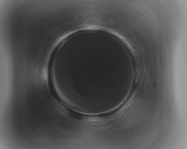 X0000102531319200808151546