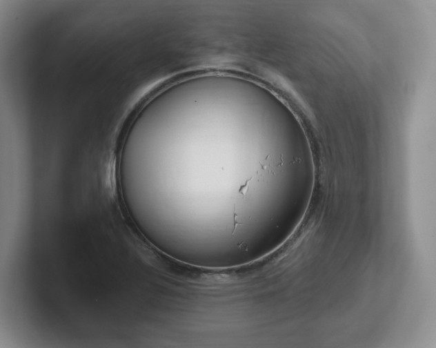 X0000102531320200808151546