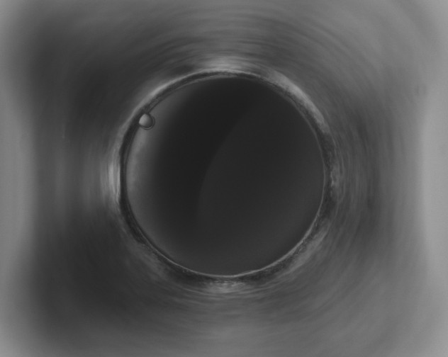 X0000102531323200808151546