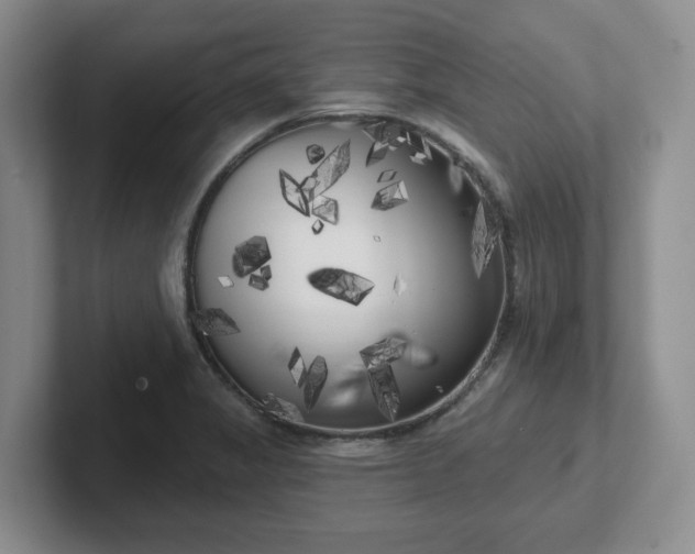 X0000102531325200808151546