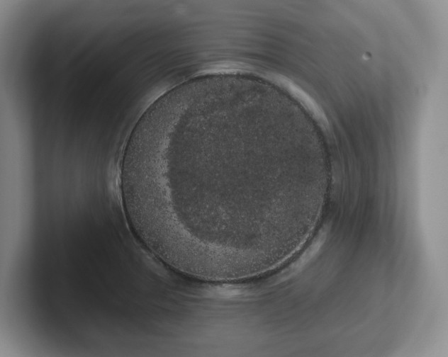 X0000102531329200808151547