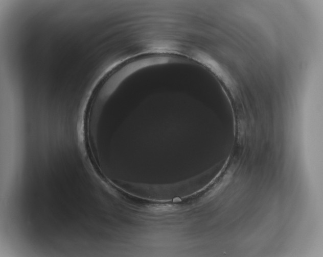 X0000102531331200808151547