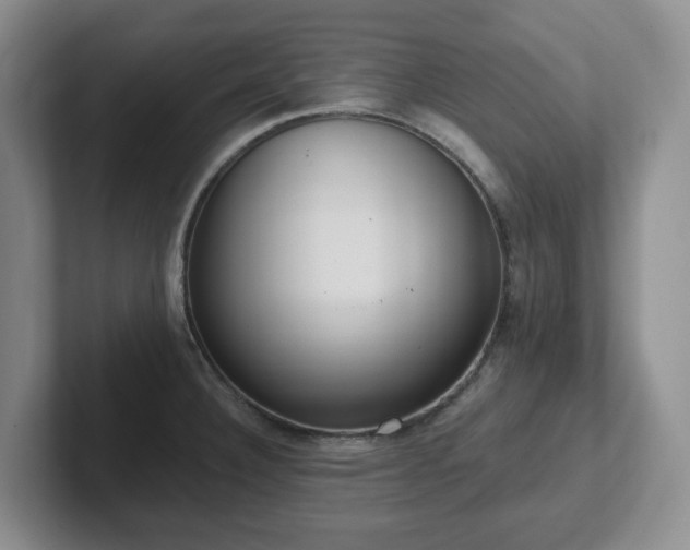 X0000102531332200808151547