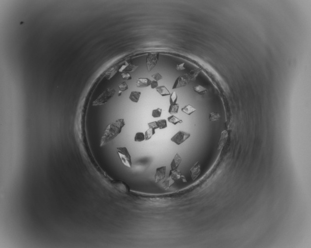 X0000102531333200808151547