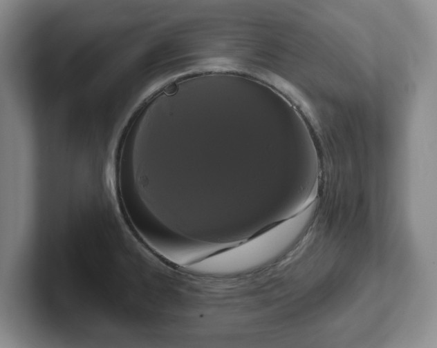 X0000102531334200808151547