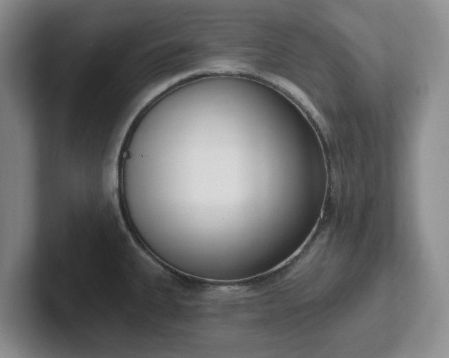 X0000102531335200808151547