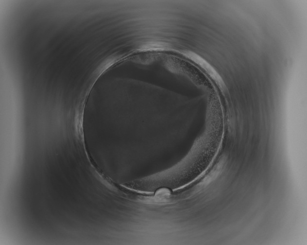 X0000102531337200808151547