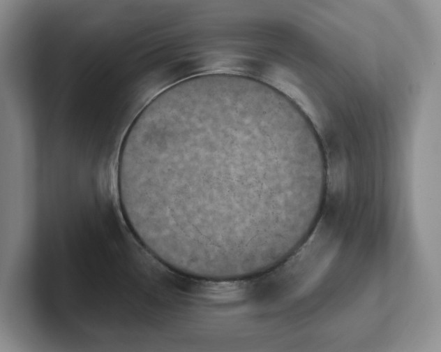 X0000102531338200808151547