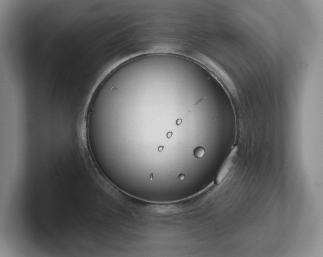 X0000102531340200808151547