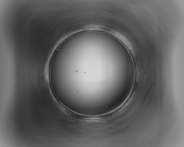 X0000102531342200808151547