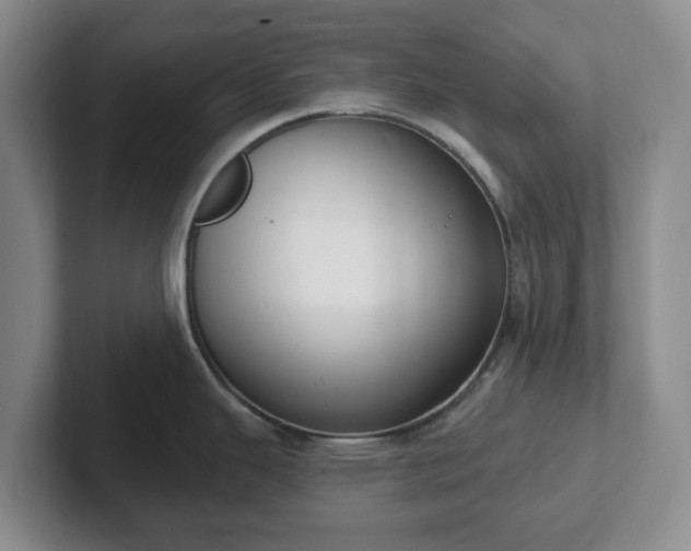 X0000102531343200808151547