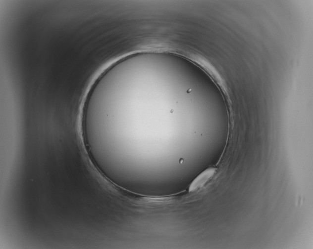 X0000102531344200808151547