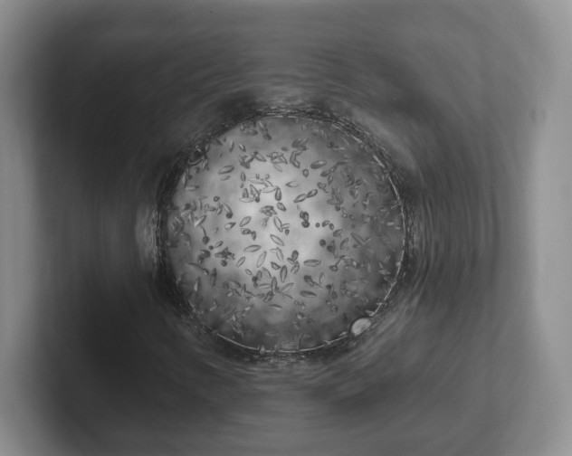 X0000102531346200808151546