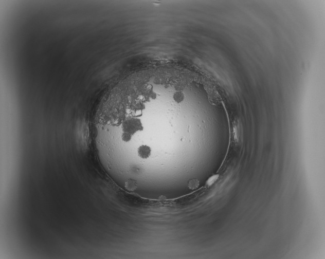 X0000102531347200808151546