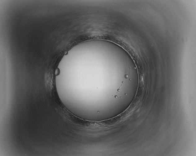 X0000102531348200808151546