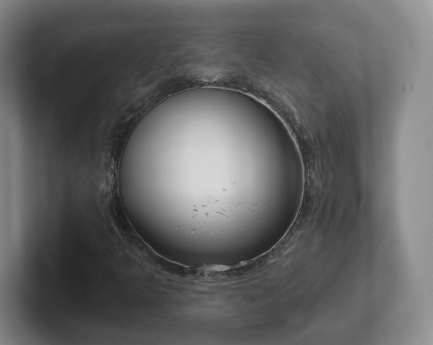 X0000102531349200808151546