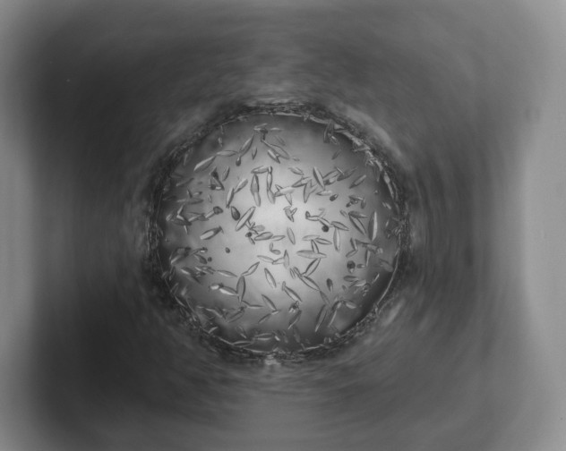 X0000102531350200808151546