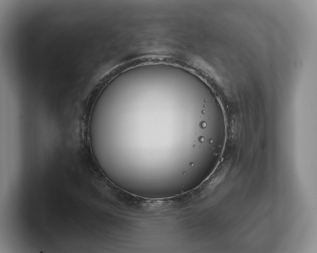 X0000102531352200808151546