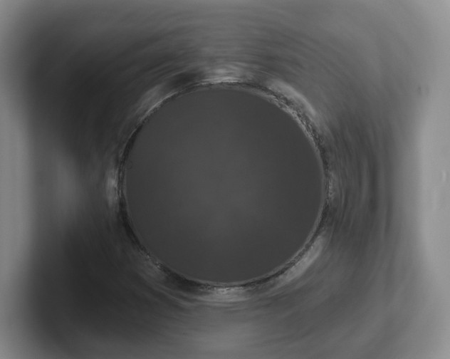 X0000102531353200808151546