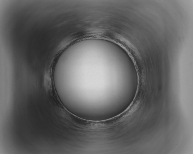 X0000102531354200808151546