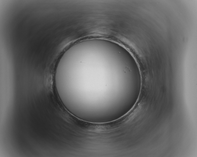 X0000102531355200808151546