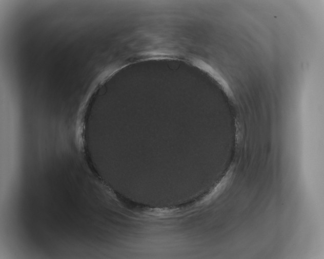 X0000102531357200808151546