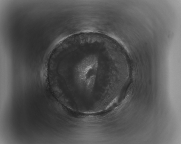 X0000102531359200808151546