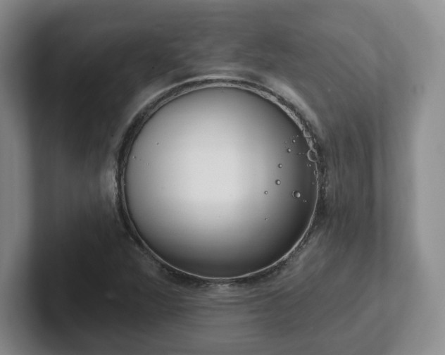 X0000102531360200808151546