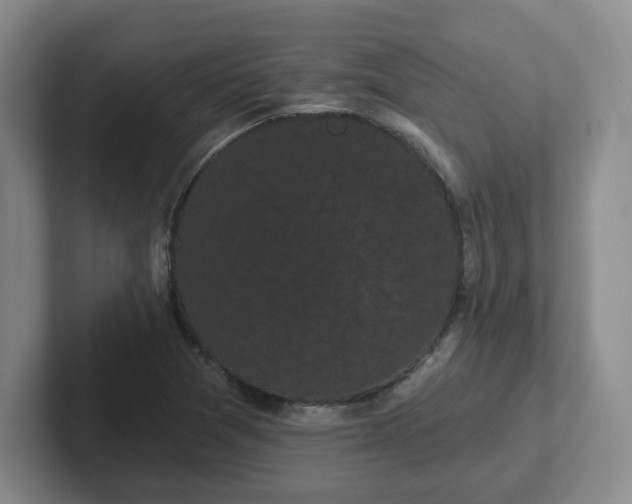 X0000102531361200808151546