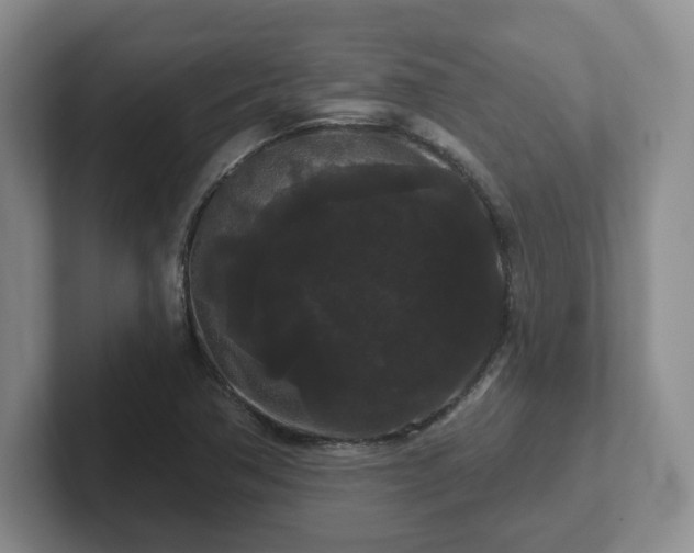 X0000102531362200808151546