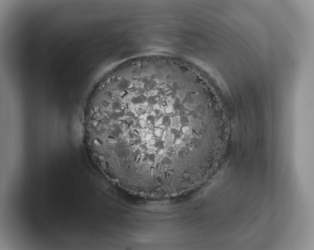 X0000102531363200808151546
