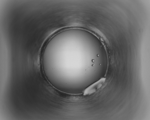 X0000102531364200808151546