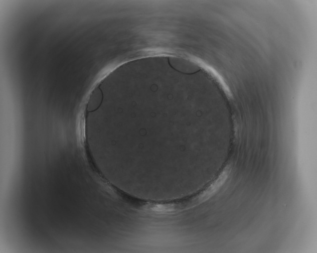 X0000102531365200808151546