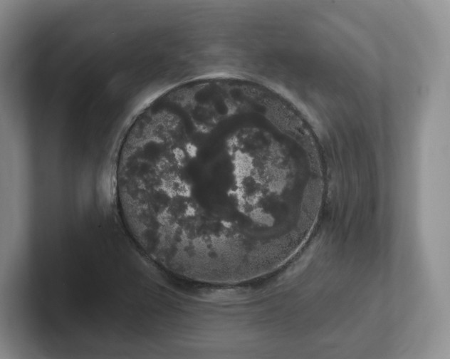 X0000102531367200808151546