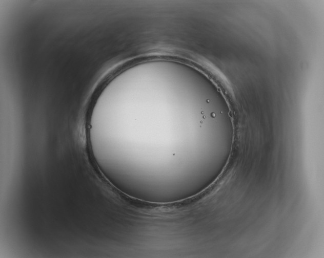 X0000102531368200808151546