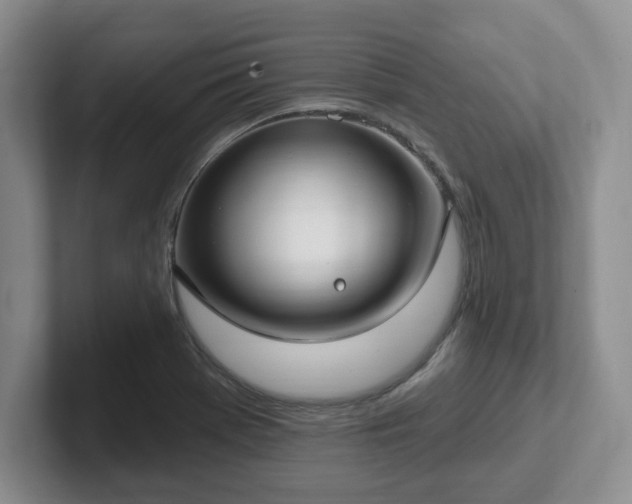 X0000102531369200808151546