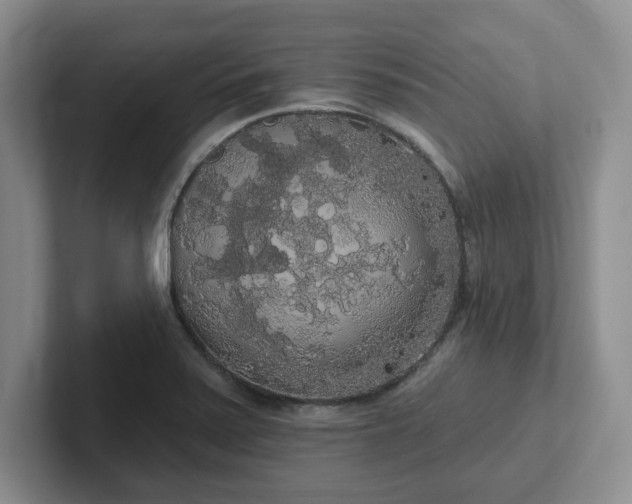 X0000102531371200808151546