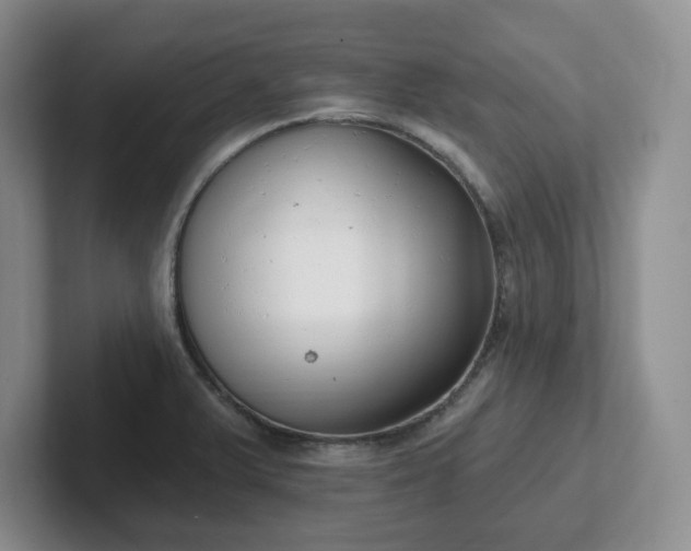 X0000102531375200808151546