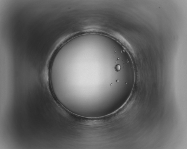 X0000102531376200808151546