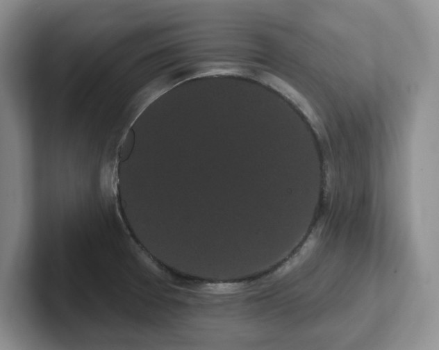 X0000102531377200808151546