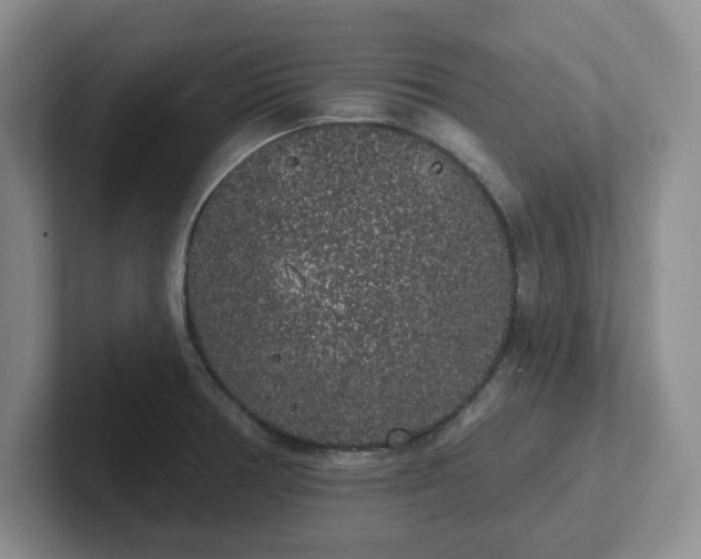 X0000102531378200808151546