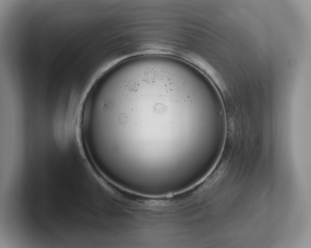 X0000102531379200808151546