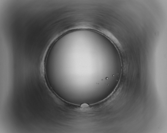 X0000102531380200808151545