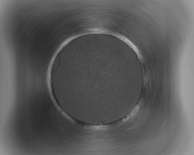 X0000102531381200808151545