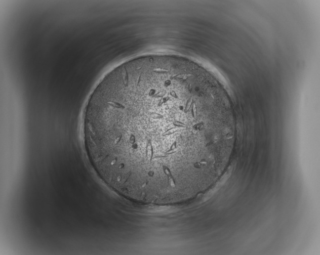 X0000102531382200808151545