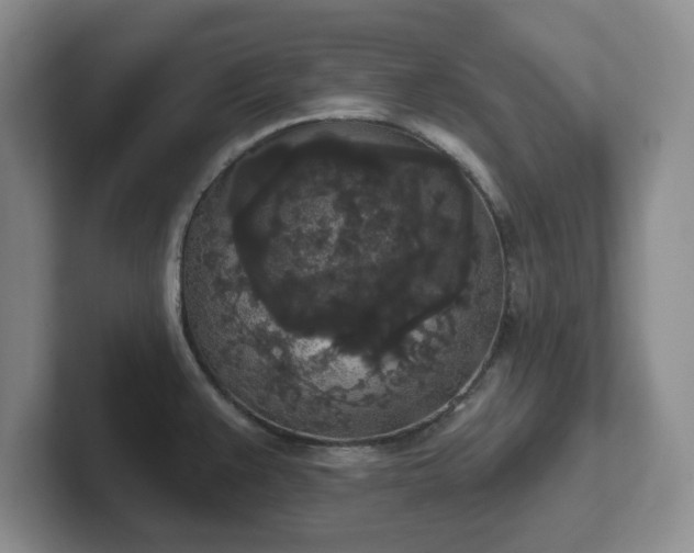 X0000102531383200808151545